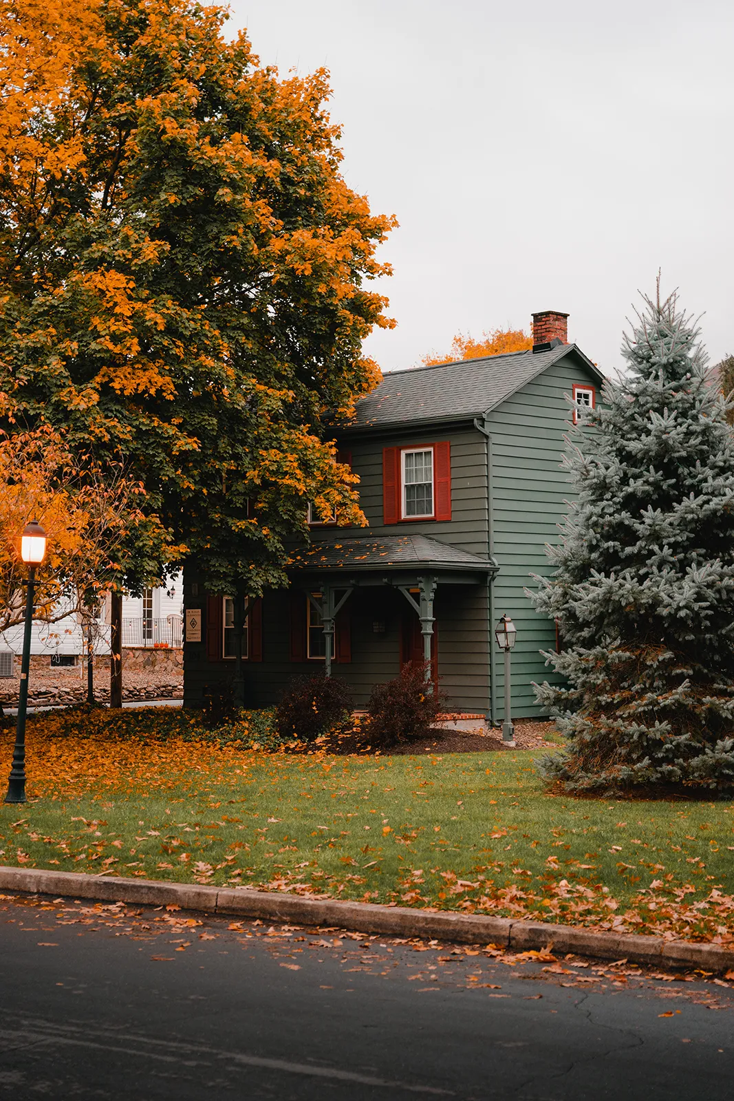 beautiful-small-house-surrounded-by-bright-orange-2023-11-27-05-30-36-utc